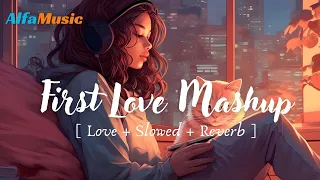 Soulful Love Mashup 2024 | Mysterious Lofi Mashup Secrets 2024