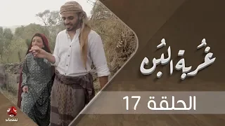 غربة البن | الحلقة  17  | محمد قحطان - صلاح الوافي - عمار العزكي - سالي حماده - شروق | يمن شباب