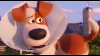 The Secret Life Of Pets 2 - El Tráiler de Rooster