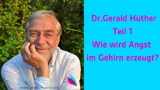 Professor Dr Gerald Hüther Wie wird Angst im Gehirn erzeugt? Interview Teil 1/8