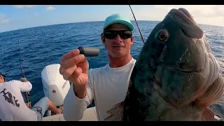 Sharkbanz Fishing - Deployable Rigging Method  - Joey Antonelli Lands Two Big Groupers