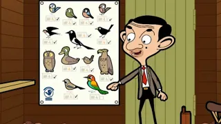 Bird Watchers | Mr Bean | Cartoons for Kids | WildBrain Bananas