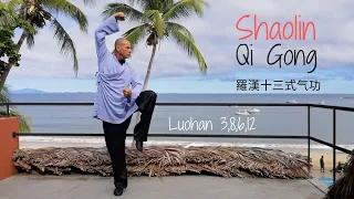 Shaolin Qi Gong 羅漢十三式气功 - Luohan 3, 8, 6 et 12