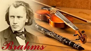 Brahms Classical Music for Studying, Concentration, Relaxation | Study Music | Instrumental Music