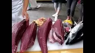 Fast cutting tuna(Быстрая разделка тунца)