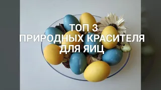 ТОП 3 природных красителя для яиц! Встретим Пасху натурально:)