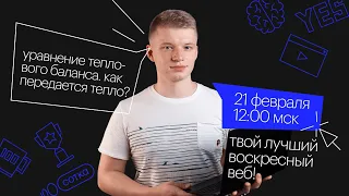 Уравнение теплового баланса. Как передается тепло? | ЕГЭ ФИЗИКА 2021 | Онлайн-школа СОТКА