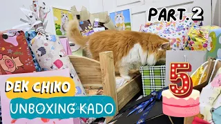 Dek Chiko Unboxing Kado Ultah (Part 2). funny video cute cat animal trending kucing viral pet dog