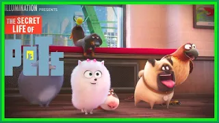 La vida secreta de las mascotas |Chris Melandri, posee en Digital || Disney and Pixar Fan