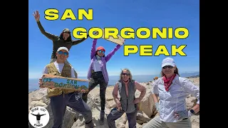 WHAT SHOULD I EXPECT TO SEE WHEN HIKING FROM VIVIAN CREEK TO SAN GORGONIO PEAK? San Gorgonio, CA USA