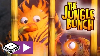 The Jungle Bunch | The Imposter | Boomerang UK