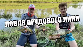 Линь не давал нам покоя всю ночь! Наловили полный садок рыбы!