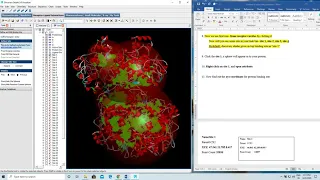 Protein binding & active site prediction by Discovery Studio Visualizer