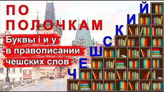 Чешский язык по полочкам: буквы i и y в правописании чешских слов