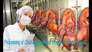 Modern poultry processing technology, marinated chicken and roast duck production line.