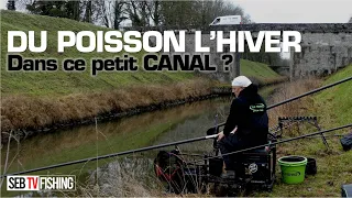 Les poissons sont-ils dans ce petit canal en hiver ?