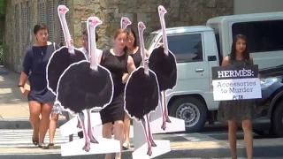 PETA protests vs Hermes' use of ostrich skin