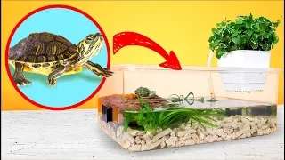 Einfaches und günstiges DIY Terrarium für Rotwangen-Schmuckschildkröten