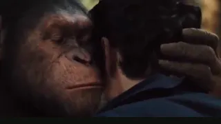 Macaco gasolina