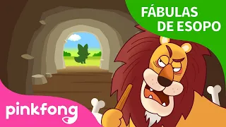 El Viejo León y la Zorra | Fábulas de Esopo | Pinkfong Cuentos Infantiles