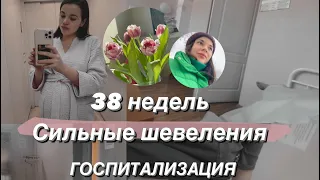 38 недель | сильные шевеления| госпитализация❌