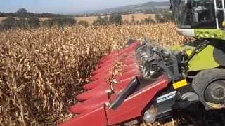 Kukurydza Corn Harvest 2013! Claas Lexion 750TT (Oragro)