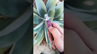 Stiletto Switch Blade Pocket Knife