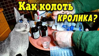 Как колоть кролика?