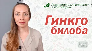 Гинкго билоба: память, деменция, рассеянный склероз  l №3 Лекарственные растения в психиатрии