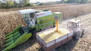 Claas Dominator 58 corn harvest (Claas Dominator 58 kukuruz) 2018