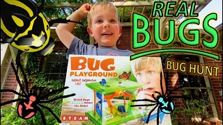 REAL BUGS PLAYGROUND - Bug Hunt for Kids!! Spiders, ROLY POLYS, worms, EARWIGS & More!!