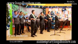 PARRANDEROS TROPICALISIMO GALLOS SHOW