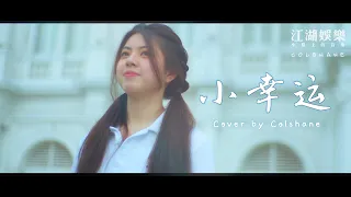 小幸运 (电影《我的少女时代》主题曲) - cover by Colshane