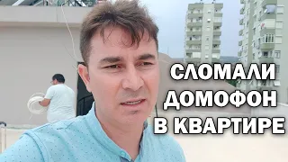 СЛОМАЛИ ДОМОФОН НАДО РЕМОНТИРОВАТЬ. МОЁ ХОББИ на балконе в новой квартире- пересаживаю каркаде #влог