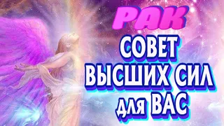 РАК 🧚‍♂️🧚‍♀️🧚‍♂️♋ СОВЕТ ВЫСШИХ СИЛ для ВАС на ближайшее время Таро Расклад гадание онлайн