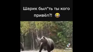 шакик ты кого привел😂😂