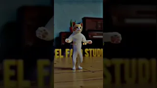 funny cat🤩 dancing cat #cute #crazy #shorts