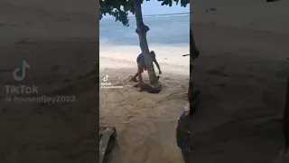 Crocodile attacks man 😳🇯🇲 #jamaica #crocodile