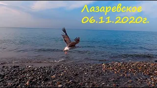 ЛАЗАРЕВСКОЕ СЕГОДНЯ 🌴СОЧИ. Пляж "Морская  звезда"