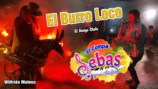El Burro Loco ( Video Oficial ) - El Compa Sebas Y Su Teclado ( Gigantes De La Costa )