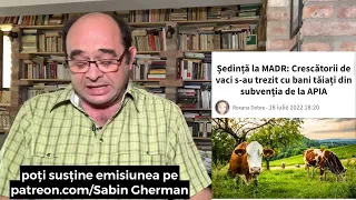 De ce merităm să ne bată soarele-n cap. Seceta a venit la pachet cu tot felul de nebunii