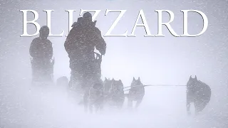 TRAPPED IN A BLIZZARD FOR 36 HOURS | Exciting Arctic Dog Sled Adventure
