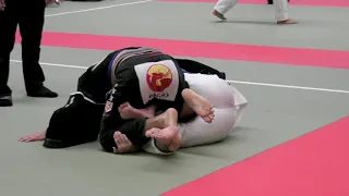 Judo vs Bjj