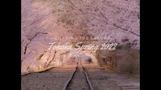 Chasing the Sakura - Tohoku Spring 2022 「桜を追って〜東北の春2022」東北春シネマティック