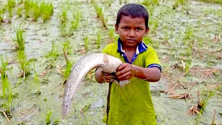 Best Hand Fishing | Amazing Boy Catching Big Catfish In Mud Water | Amazing Hand Fishing Video 2022