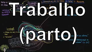 Trabalho (parto) | Vida e evolução | Khan Academy