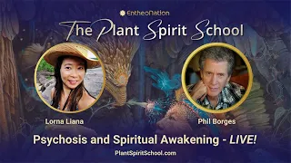 Psychosis & Spiritual Awakening in the Psychedelic Renaissance | Phil Borges