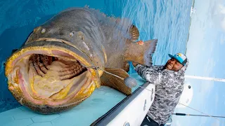 NFL Linesman Catches Massive Fish!