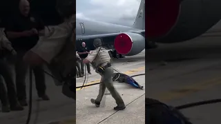 10-foot alligator wrangled on runway at MacDill Air Force Base in Tampa, Florida