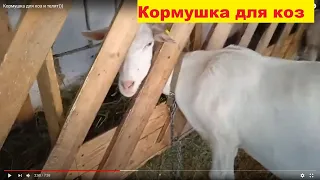 Кормушка для коз и телят)))